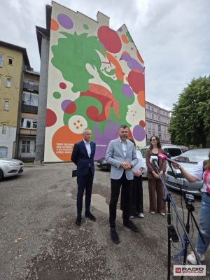 Pierwszy filmowy mural powstał w Wałbrzychu. Nawiązuje do "Akademii Pana Kleksa" kręconej w tym mieście - 1