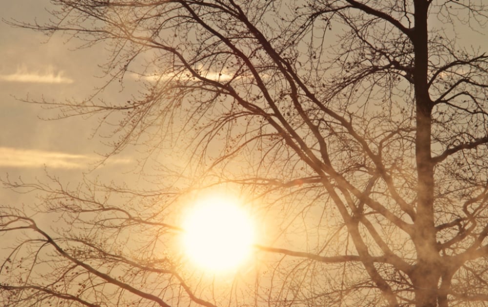 Upał! Dwa powiaty objęte ostrzeżeniem. Będzie nawet 30°C - zdjęcie ilustracyjne Pixabay
