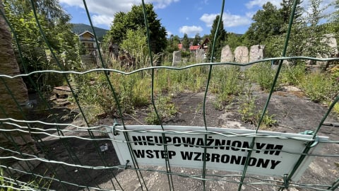 Z podwórka do Muzeum Sztuki Nowoczesnej? Kontrowersyjne rzeźby ze Szklarskiej Poręby szukają nowego miejsca - 0