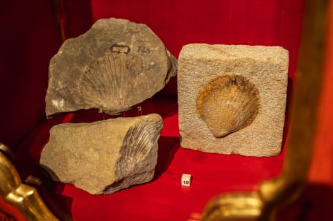 Szklanka hrabiego, kły mamuta, a nawet meteoryt! Zobacz, co znajduje się w Gabinecie Osobliwości na Zamku Książ [ZDJĘCIA]  - 11