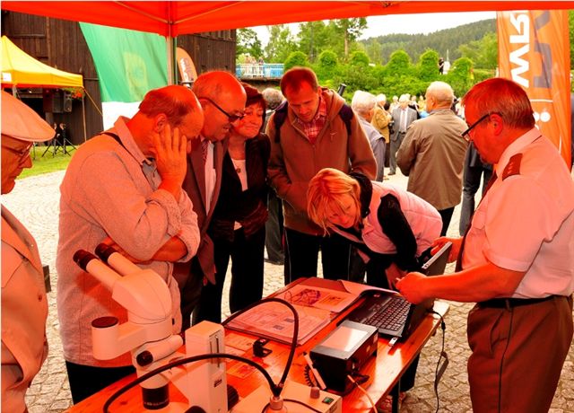 DRJ w Dusznikach Zdrój - 10