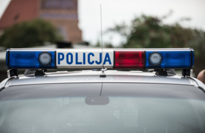 37-latek skatował psa partnerki. Trafił na p&oacute;ł roku do więzienia