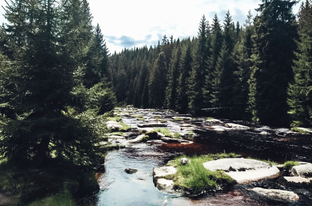 Karkonosze czekają na turystów. Szczyt sezonu przypadnie w sierpniu - Lato w Karkonoszach. Fot. RW