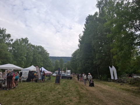 Poezja i muzyka u podnóża gór. Festiwal „Gitarą i… – borowickie spotkania z poezją śpiewaną” - 7