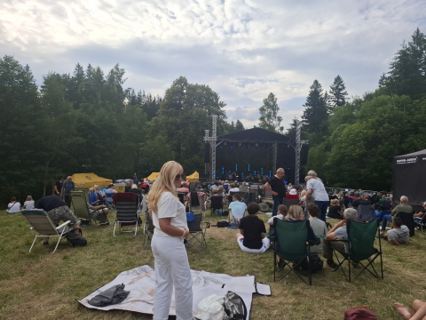 Poezja i muzyka u podnóża gór. Festiwal „Gitarą i… – borowickie spotkania z poezją śpiewaną” - 8