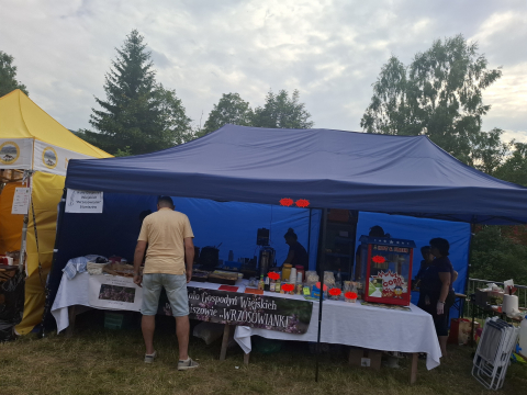 Poezja i muzyka u podnóża gór. Festiwal „Gitarą i… – borowickie spotkania z poezją śpiewaną” - 0