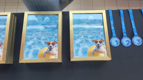 Pływacy na czterech łapach? Tak wyglądały Mistrzostwa w Pływaniu Pieskiem - 2