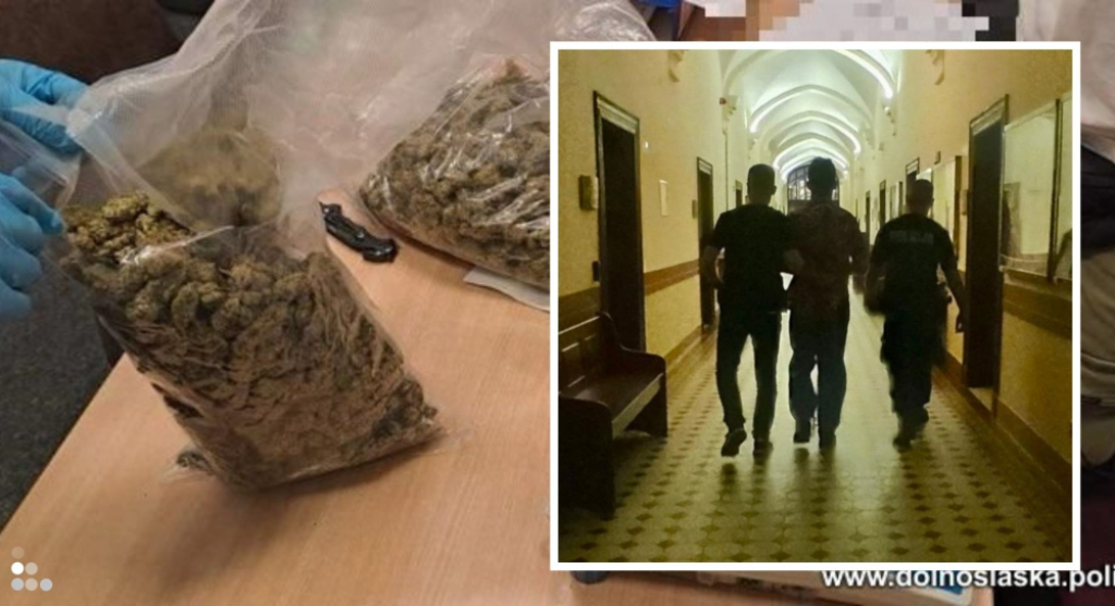 Miał przy sobie prawie kilogram narkotyków, próbował uciec policjantom. 26-latek tymczasowo aresztowany – 26-latek, który uciekał przed policją przy wrocławskim dworcu, tymczasowo aresztowany. Fot. dolnoslaska.policja.gov.pl