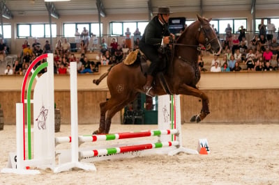 VI Wroclove Międzynarodowe Zawody Working Equitation WAWE &ndash; kwalifikacje do Mistrzostw Świata i Europy już 10-13 lipca na wrocławskich Partynicach