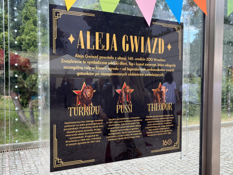 Aleja gwiazd powstała w ZOO Wrocław! Odsłonięto odciski łap legendarnych zwierząt - 2