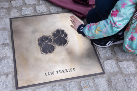 Aleja gwiazd powstała w ZOO Wrocław! Odsłonięto odciski łap legendarnych zwierząt - 3