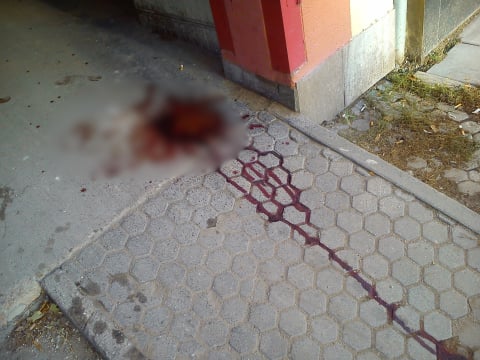 Sąsiedzi z piekła rodem. Awantury, libacje i krew na podwórku we Wrocławiu [ZDJĘCIA] - 13