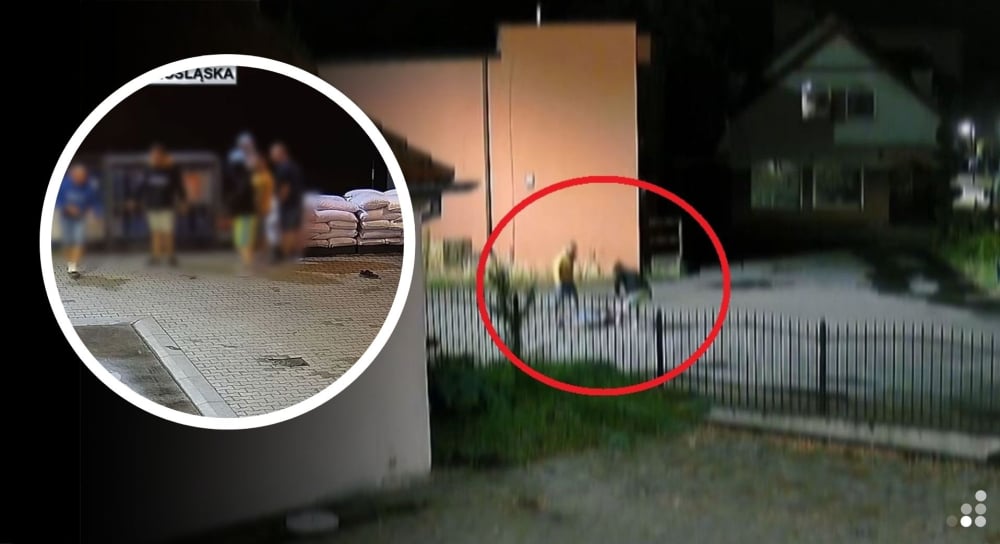Bandyci z Milicza zatrzymani. Bili i kopali swoje ofiary do utraty przytomności - Czterech mężczyzn zostało zatrzymanych przez milickich policjantów.