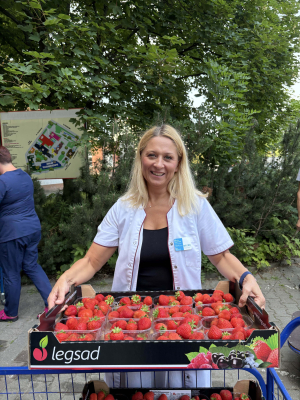Tona truskawek dla pacjentów z Wrocławia! Niecodzienny dar dla chorych na raka - 0