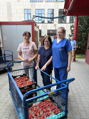 Tona truskawek dla pacjentów z Wrocławia! Niecodzienny dar dla chorych na raka - 4