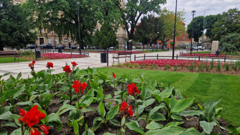 Układ sprzed 100 lat. Plac Grunwaldzki w Świdnicy przeszedł metamorfozę. Nie wszystkim się podoba - 2