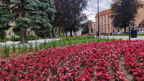 Układ sprzed 100 lat. Plac Grunwaldzki w Świdnicy przeszedł metamorfozę. Nie wszystkim się podoba - 4