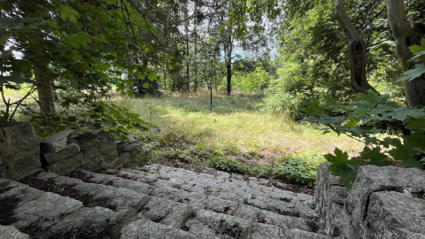 Park za 3 miliony złotych powstanie w Jeleniej Górze. Prace potrwają cztery miesiące - 4