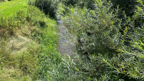 Ten potok niektórych zalał nawet 7 razy. Ruszają prace na Radomierce w Jeleniej Górze - 1