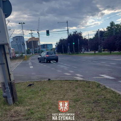 Zderzenie w centrum Wrocławia. Kierowcy stali w długich korkach [ZDJĘCIA] - 2