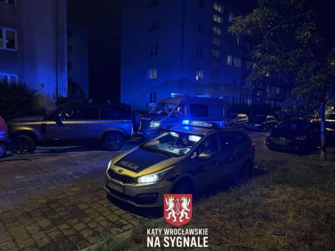 8 samochodów uszkodzonych po kolizji we Wrocławiu. Ucierpiały zaparkowane auta [ZDJĘCIA] - 3