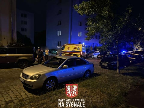 8 samochodów uszkodzonych po kolizji we Wrocławiu. Ucierpiały zaparkowane auta [ZDJĘCIA] - 6