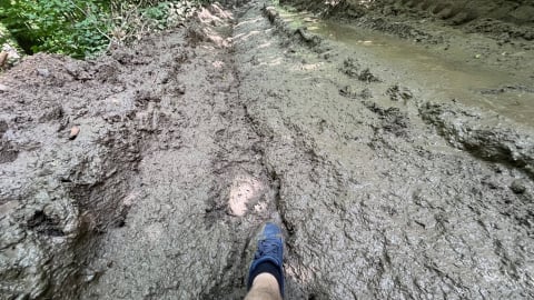 Zamiast cieszyć się przyrodą, toniemy w błocie po kolana! Tak wygląda Główny Szlak Sudecki! Zniszczył go ciężki sprzęt od wycinki - 1