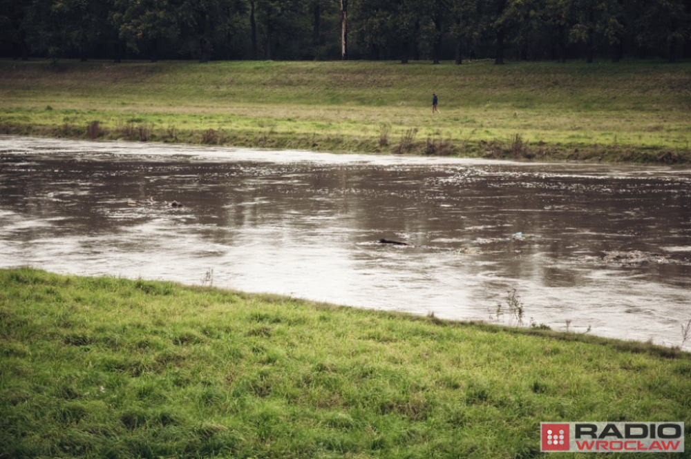 IMGW ostrzega przed podwyższonym poziomem wody w Odrze. Czy stany alarmowe zostaną przekroczone? - IMGW wydał ostrzeżenie dla dolnośląskiego odcinka Odry.