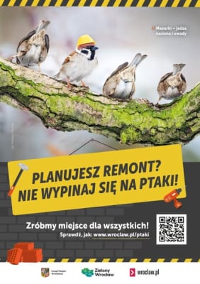 "Doznajemy kryzysu bioróżnorodności". Wrocław chroni ptaki i nietoperze m.in poprzez specjalne zarządzenie - 0