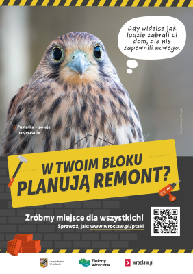 "Doznajemy kryzysu bioróżnorodności". Wrocław chroni ptaki i nietoperze m.in poprzez specjalne zarządzenie - 1