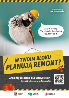 "Doznajemy kryzysu bioróżnorodności". Wrocław chroni ptaki i nietoperze m.in poprzez specjalne zarządzenie - 2