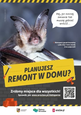 "Doznajemy kryzysu bioróżnorodności". Wrocław chroni ptaki i nietoperze m.in poprzez specjalne zarządzenie - 3