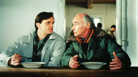 Adaś Miauczyński wraca na wielki ekran. Kultowe filmy Marka Koterskiego w DCF - 1