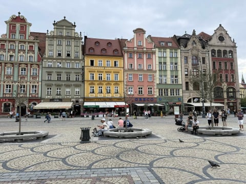 Spór o... trzy drzewa na Rynku. Tak wyglądają po czterech miesiącach od zasadzenia - 9