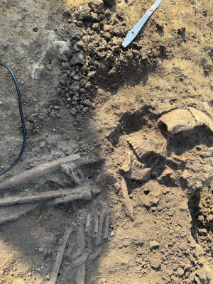 To znalezisko ma 6 tysięcy lat! Archeologiczna sensacja pod Jordanowem Śląskim! Nowy odcinek S8 opóźniony? - 2