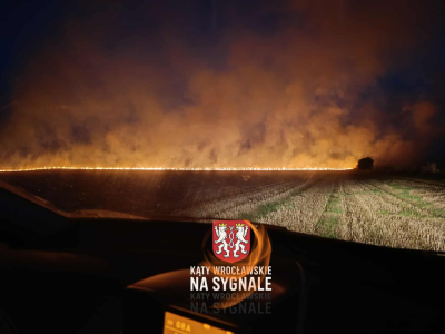 Duży pożar pola w okolicach Wrocławia. Łunę ognia widać z autostrady A4
