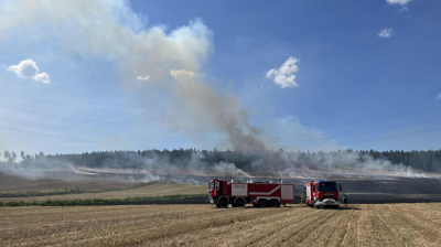 Duży pożar nieopodal Lw&oacute;wka Śląskiego. Ogień objął prawie 10 hektar&oacute;w ścierniska [ZDJĘCIA]