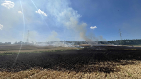 Duży pożar nieopodal Lwówka Śląskiego. Ogień objął prawie 10 hektarów ścierniska [ZDJĘCIA] - 0