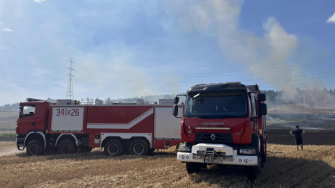 Duży pożar nieopodal Lwówka Śląskiego. Ogień objął prawie 10 hektarów ścierniska [ZDJĘCIA] - 2