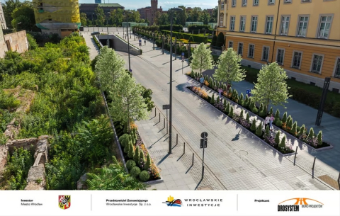 Rusza remont na placu Wolności. Wymienią nawierzchnię, ale nie będzie zieleni. Dlaczego? - 3