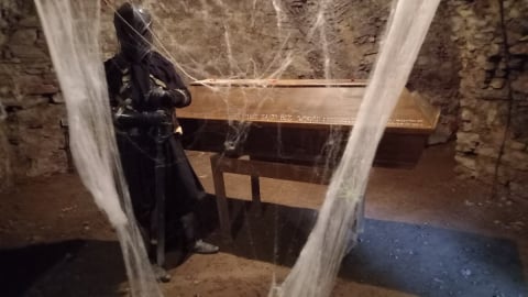 Zamek Świny zmienił się w tolkienowską twierdzę. Do niedzieli można spotkać tam fanów historii Śródziemia - 5