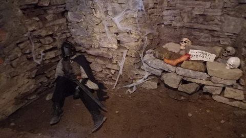 Zamek Świny zmienił się w tolkienowską twierdzę. Do niedzieli można spotkać tam fanów historii Śródziemia - 7