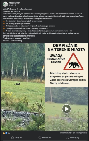 Puma na Dolnym Śląsku?! Takie ostrzeżenie pojawiło się na profilu Gminy Mysłakowice - 1