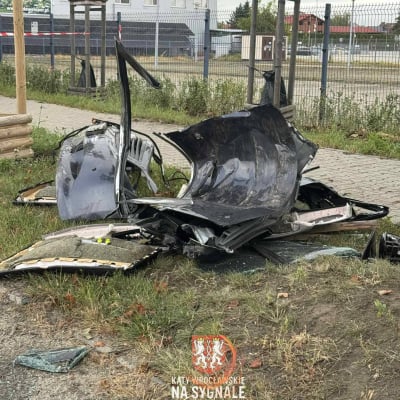Samochód osobowy z impetem uderzył w drzewo. Poważny wypadek we Wrocławiu - 0