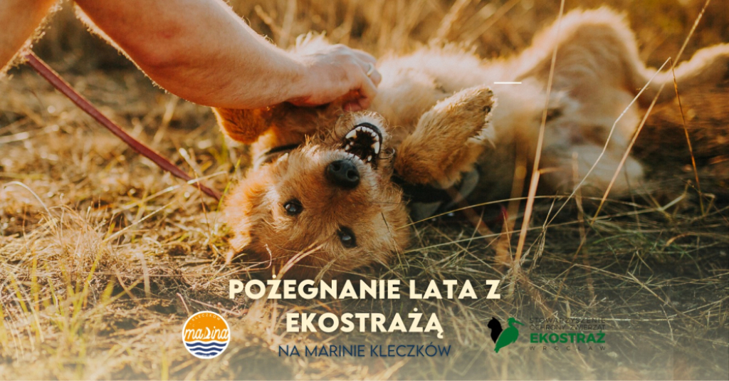 Ekostraż żegna lato. Masa atrakcji i spotkanie z czworonogami - Ekostraż zaprasza na współne pożegnanie lata