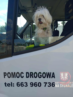 Ciężarówka w rowie na autostradzie A4. Utrudnienia potrwają wiele godzin - 0