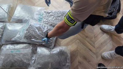 Udany nalot lw&oacute;weckiej policji. 17 kilogram&oacute;w narkotyk&oacute;w nie trafi na rynek