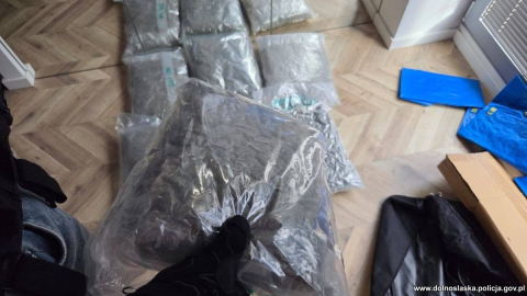 Udany nalot lwóweckiej policji. 17 kilogramów narkotyków nie trafi na rynek - 3