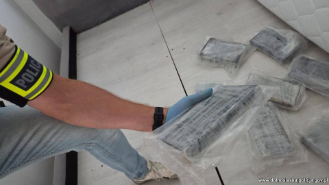 Udany nalot lwóweckiej policji. 17 kilogramów narkotyków nie trafi na rynek - 4