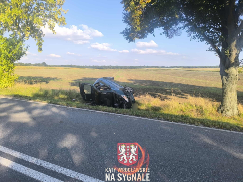 Osobówka wypadła z drogi, kierowca uciekł. Groźny wypadek w gminie Kąty Wrocławskie [ZDJĘCIA] - 8